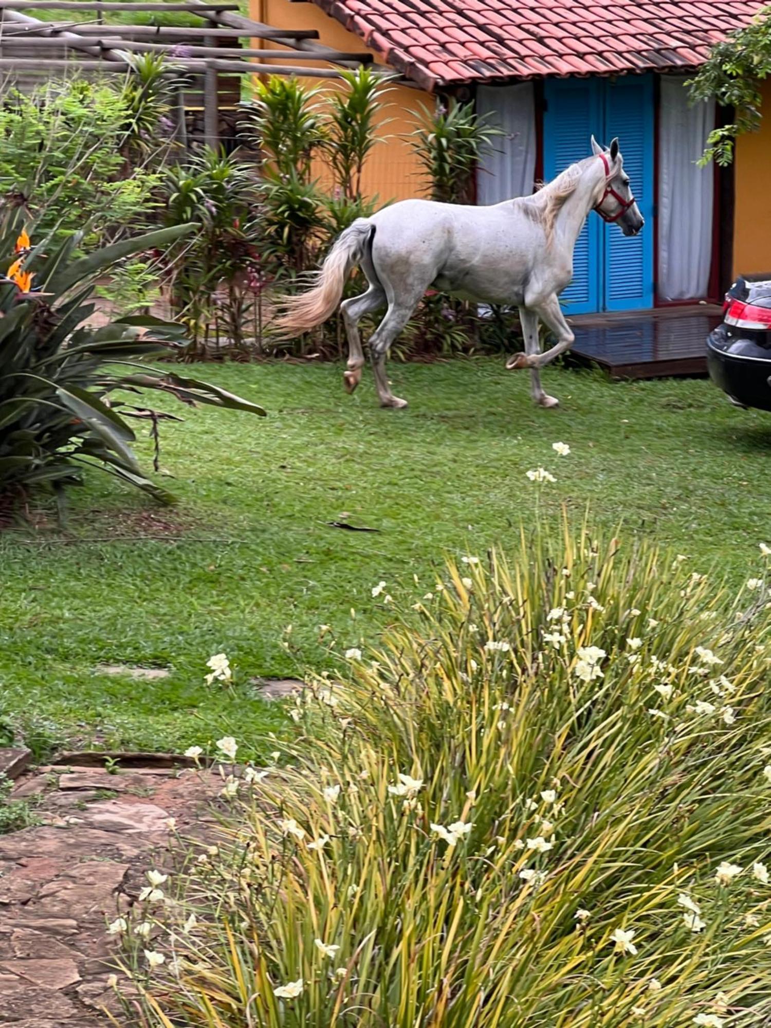 Fazenda Do Engenho Hotell Santa Rita do Rio Abaixo Exteriör bild